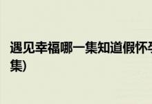 遇見幸福哪一集知道假懷孕(遇見幸福邵邵假懷孕被發(fā)現(xiàn)第幾集)