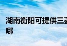湖南衡陽(yáng)可提供三菱重工空調(diào)維修服務(wù)地址在哪