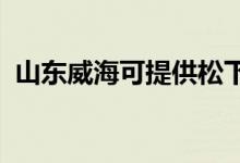 山東威?？商峁┧上驴照{(diào)維修服務(wù)地址在哪