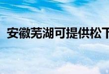 安徽蕪湖可提供松下空調(diào)維修服務(wù)地址在哪