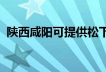 陜西咸陽(yáng)可提供松下空調(diào)維修服務(wù)地址在哪