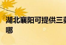 湖北襄陽(yáng)可提供三菱重工空調(diào)維修服務(wù)地址在哪