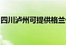 四川瀘州可提供格蘭仕空調(diào)維修服務地址在哪