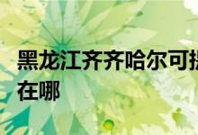 黑龍江齊齊哈爾可提供長虹空調(diào)維修服務(wù)地址在哪