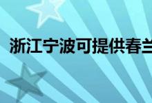 浙江寧波可提供春蘭空調維修服務地址在哪