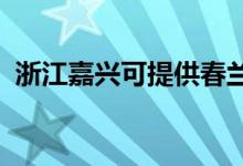 浙江嘉興可提供春蘭空調維修服務地址在哪