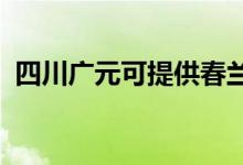 四川廣元可提供春蘭空調維修服務地址在哪