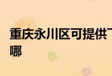 重慶永川區(qū)可提供飛利浦空調(diào)維修服務(wù)地址在哪