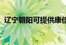 遼寧朝陽可提供康佳空調(diào)維修服務地址在哪