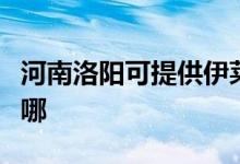 河南洛陽可提供伊萊克斯空調(diào)維修服務(wù)地址在哪