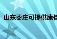 山東棗莊可提供康佳空調(diào)維修服務地址在哪