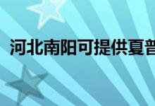 河北南陽可提供夏普空調(diào)維修服務(wù)地址在哪