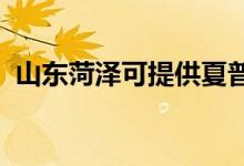山東菏澤可提供夏普空調維修服務地址在哪