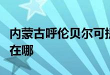 內(nèi)蒙古呼倫貝爾可提供夏普空調(diào)維修服務(wù)地址在哪
