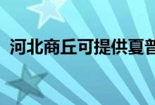 河北商丘可提供夏普空調(diào)維修服務(wù)地址在哪