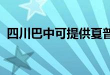 四川巴中可提供夏普空調維修服務地址在哪