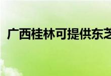 廣西桂林可提供東芝空調維修服務地址在哪