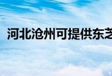 河北滄州可提供東芝空調(diào)維修服務地址在哪