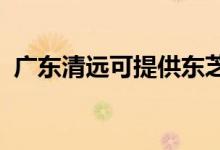 廣東清遠可提供東芝空調維修服務地址在哪