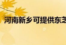 河南新鄉(xiāng)可提供東芝空調(diào)維修服務地址在哪