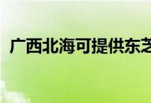 廣西北?？商峁〇|芝空調維修服務地址在哪