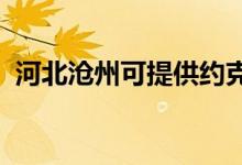 河北滄州可提供約克空調(diào)維修服務(wù)地址在哪