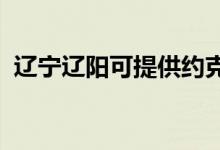 遼寧遼陽可提供約克空調(diào)維修服務(wù)地址在哪