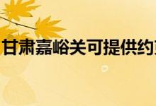 甘肅嘉峪關(guān)可提供約克空調(diào)維修服務(wù)地址在哪