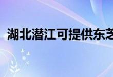 湖北潛江可提供東芝空調(diào)維修服務地址在哪