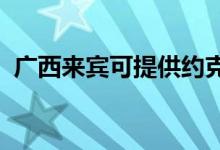 廣西來(lái)賓可提供約克空調(diào)維修服務(wù)地址在哪