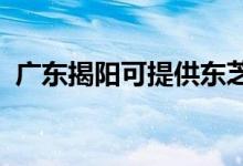 廣東揭陽可提供東芝空調維修服務地址在哪