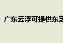 廣東云浮可提供東芝空調維修服務地址在哪