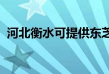 河北衡水可提供東芝空調(diào)維修服務地址在哪