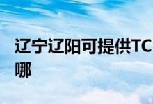 遼寧遼陽可提供TCL中央空調(diào)維修服務(wù)地址在哪