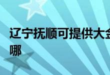 遼寧撫順可提供大金中央空調維修服務地址在哪