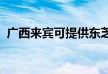 廣西來賓可提供東芝冰箱維修服務地址在哪