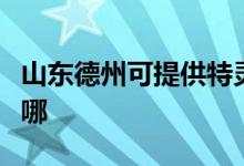 山東德州可提供特靈中央空調維修服務地址在哪