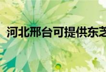 河北邢臺可提供東芝冰箱維修服務地址在哪