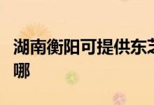 湖南衡陽(yáng)可提供東芝中央空調(diào)維修服務(wù)地址在哪