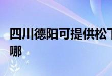 四川德陽(yáng)可提供松下中央空調(diào)維修服務(wù)地址在哪