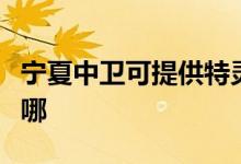 寧夏中衛(wèi)可提供特靈中央空調維修服務地址在哪