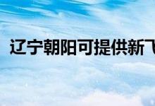 遼寧朝陽(yáng)可提供新飛冰箱維修服務(wù)地址在哪
