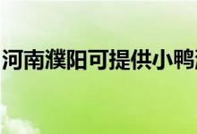 河南濮陽可提供小鴨洗衣機(jī)維修服務(wù)地址在哪
