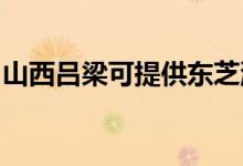 山西呂梁可提供東芝洗衣機維修服務地址在哪