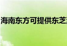 海南東方可提供東芝洗衣機維修服務地址在哪