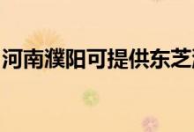 河南濮陽可提供東芝洗衣機維修服務地址在哪