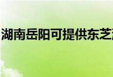湖南岳陽可提供東芝洗衣機維修服務地址在哪