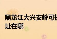 黑龍江大興安嶺可提供康佳洗衣機(jī)維修服務(wù)地址在哪