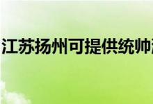 江蘇揚州可提供統(tǒng)帥洗衣機維修服務地址在哪