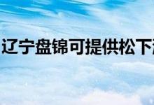遼寧盤(pán)錦可提供松下洗衣機(jī)維修服務(wù)地址在哪